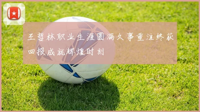王哲林职业生涯圆满久事重注终获回报成就辉煌时刻