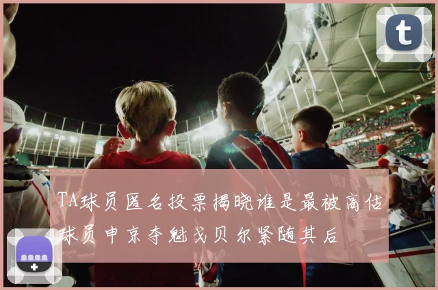 TA球员匿名投票揭晓谁是最被高估球员申京夺魁戈贝尔紧随其后
